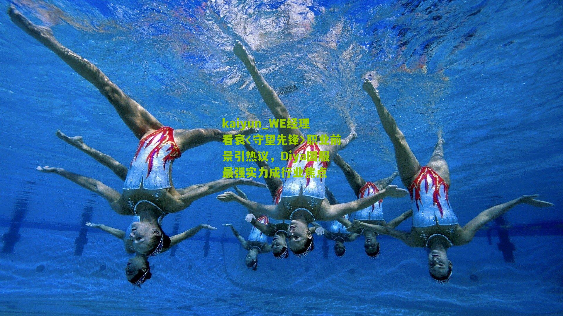 WE经理看衰〈守望先锋〉职业前景引热议，Diya国服最强实力成行业焦点